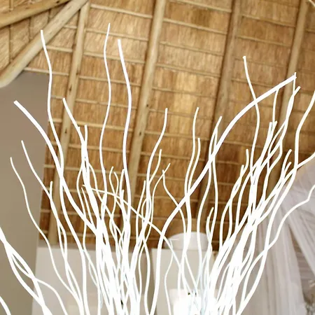 African Flair Boutique Safari Lodge Hoedspruit Exterior photo